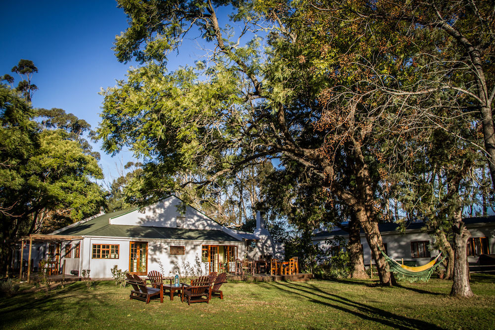 Addo African Home Extérieur photo