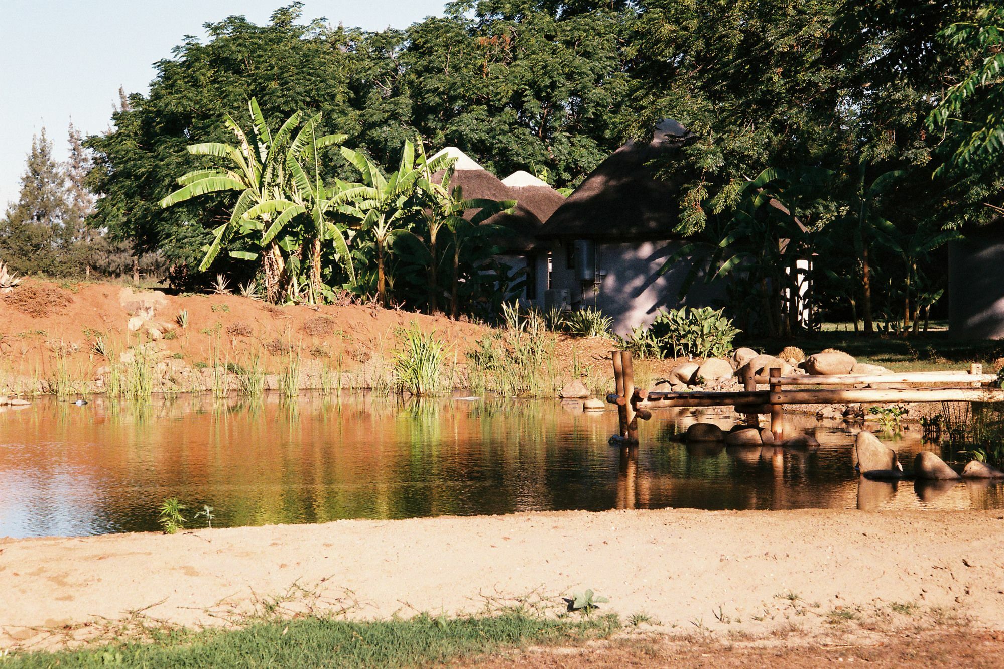 Addo African Home Extérieur photo