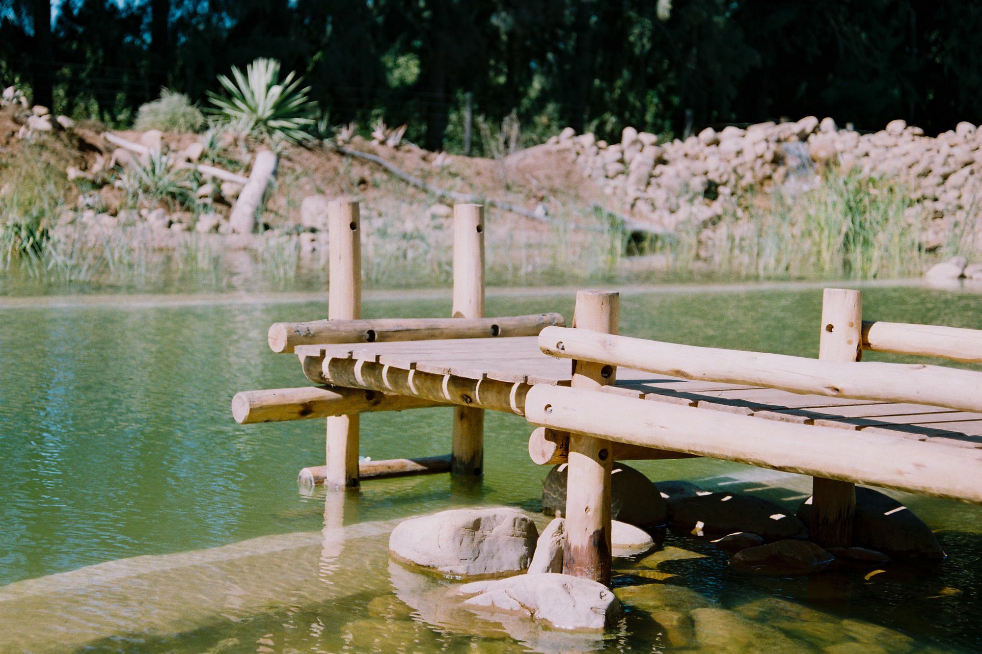 Addo African Home Extérieur photo