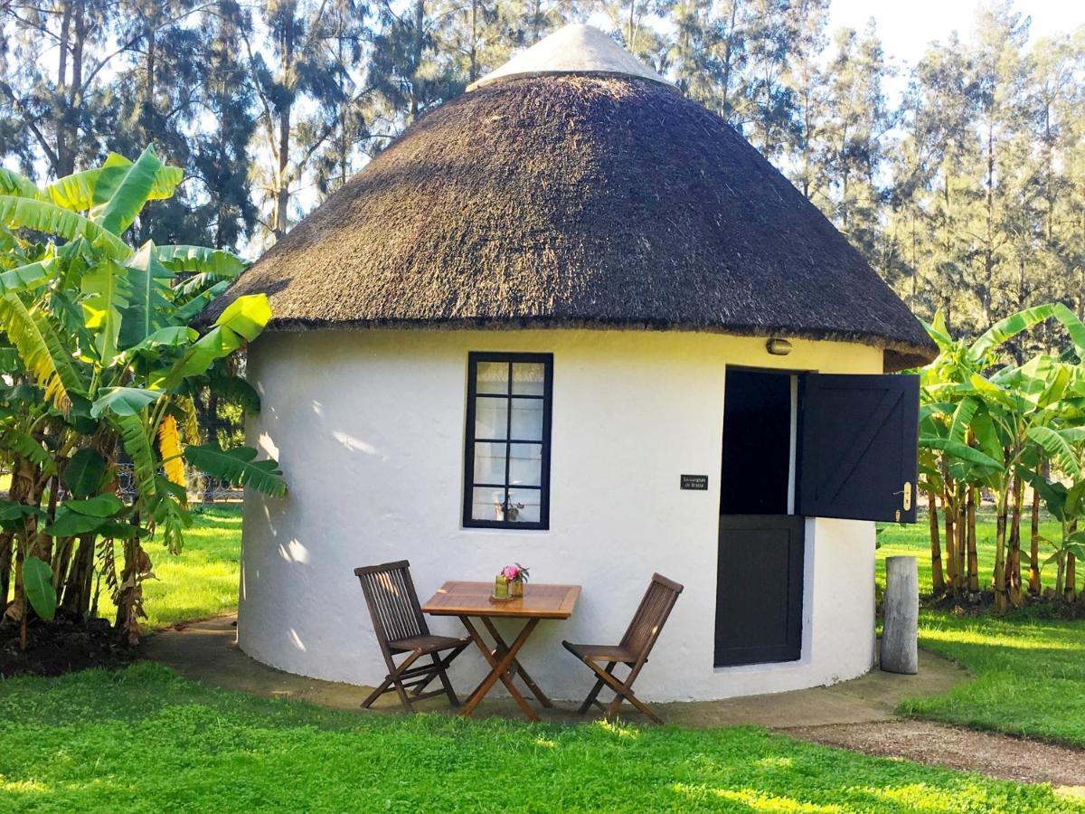 Addo African Home Extérieur photo